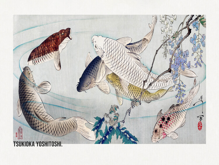 Tsukioka Yoshitoshi Plakát, Obraz - Six Carp Swimming Beneath Wisteria (1889), Tsukioka Yoshitoshi, 40 × 30 cm