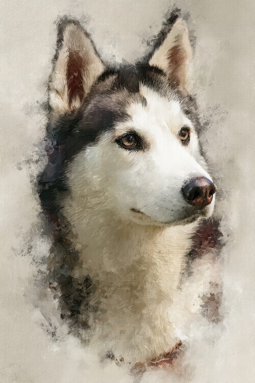 Rafal Kulik Plakát, Obraz - Watercolor Husky Portrait, Rafal Kulik, 26.7 × 40 cm