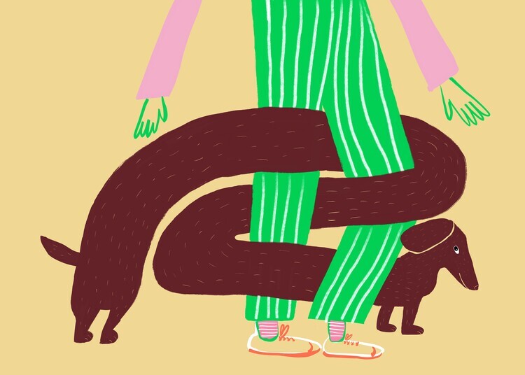 Sharyn Bursic Plakát, Obraz - Tangled Dachshund Legs, Sharyn Bursic, 40 × 30 cm