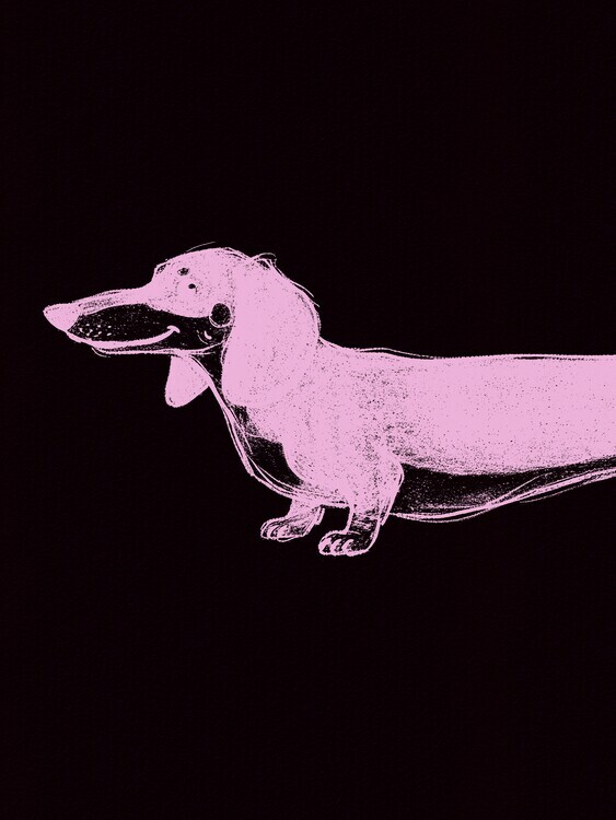 Andreas Magnusson Plakát, Obraz - Pink Dachshund Profile, Andreas Magnusson, 30 × 40 cm