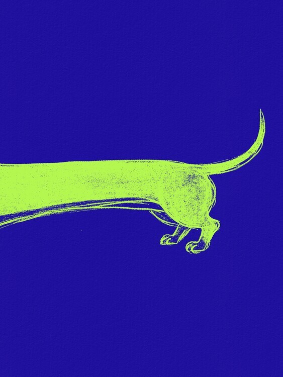 Andreas Magnusson Plakát, Obraz - Long Yellow Dachshund, Andreas Magnusson, 30 × 40 cm