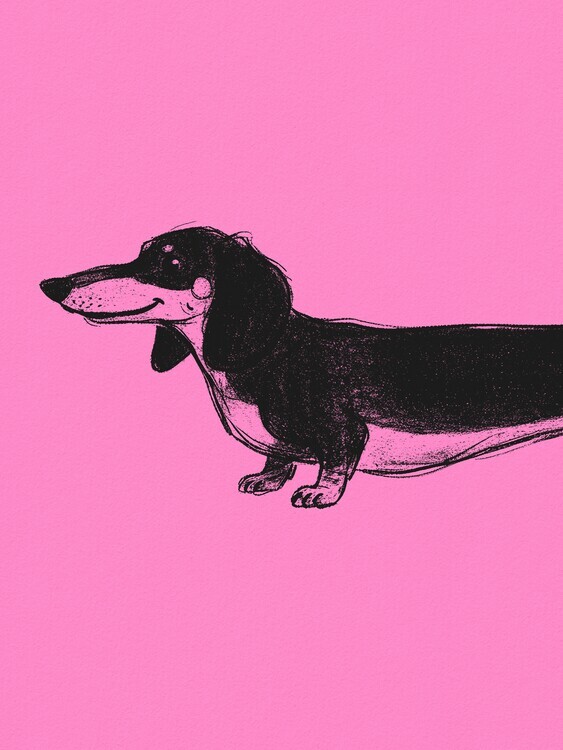 Andreas Magnusson Plakát, Obraz - Smiling Black Dachshund, Andreas Magnusson, 30 × 40 cm