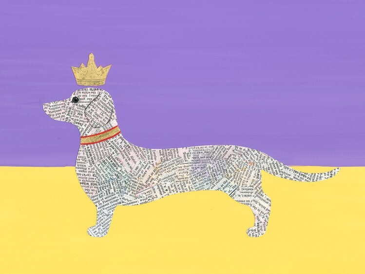 Isabelle Brent Plakát, Obraz - Regal Dachshund Tale, Isabelle Brent, 40 × 30 cm