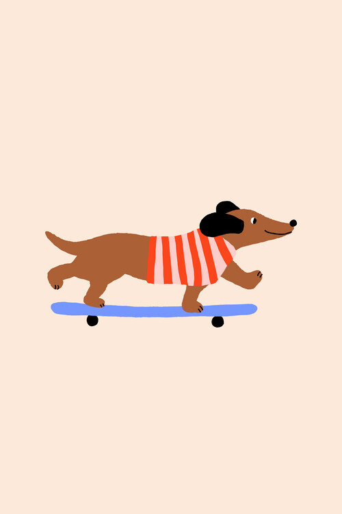 Maren Gross Plakát, Obraz - Skateboarding Dachshund Dog, Maren Gross, 26.7 × 40 cm