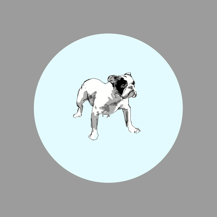 casa cartissi Plakát, Obraz - Playful Bulldog Sketch, casa cartissi, 40 × 40 cm