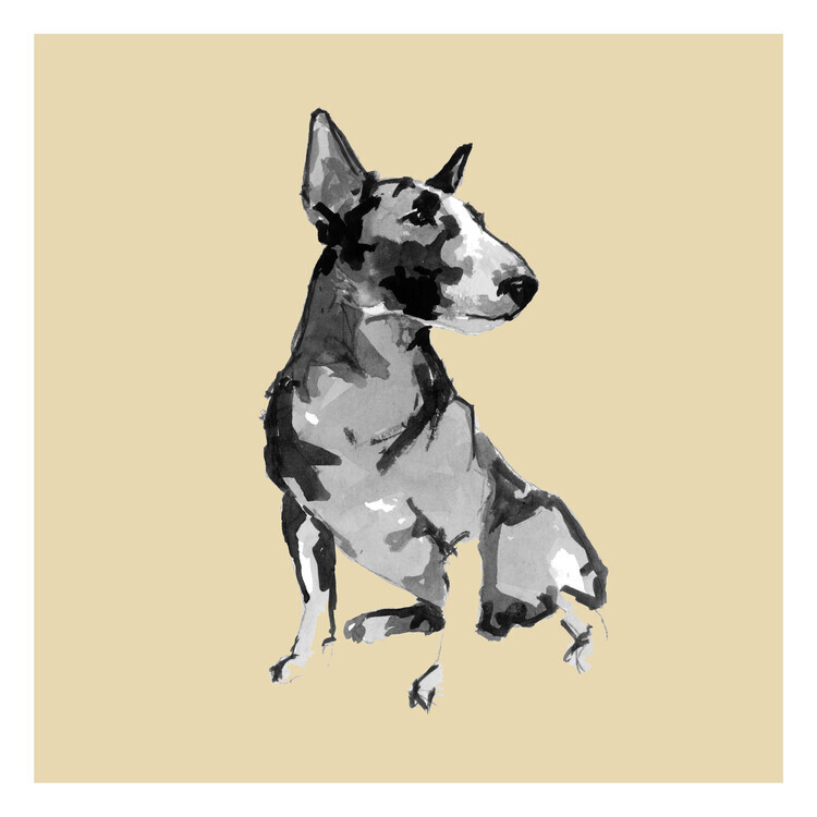 cartissi Plakát, Obraz - Sitting Bull Terrier, cartissi, 40 × 40 cm