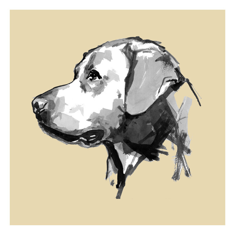 cartissi Plakát, Obraz - Expressive Dog Profile, cartissi, 40 × 40 cm