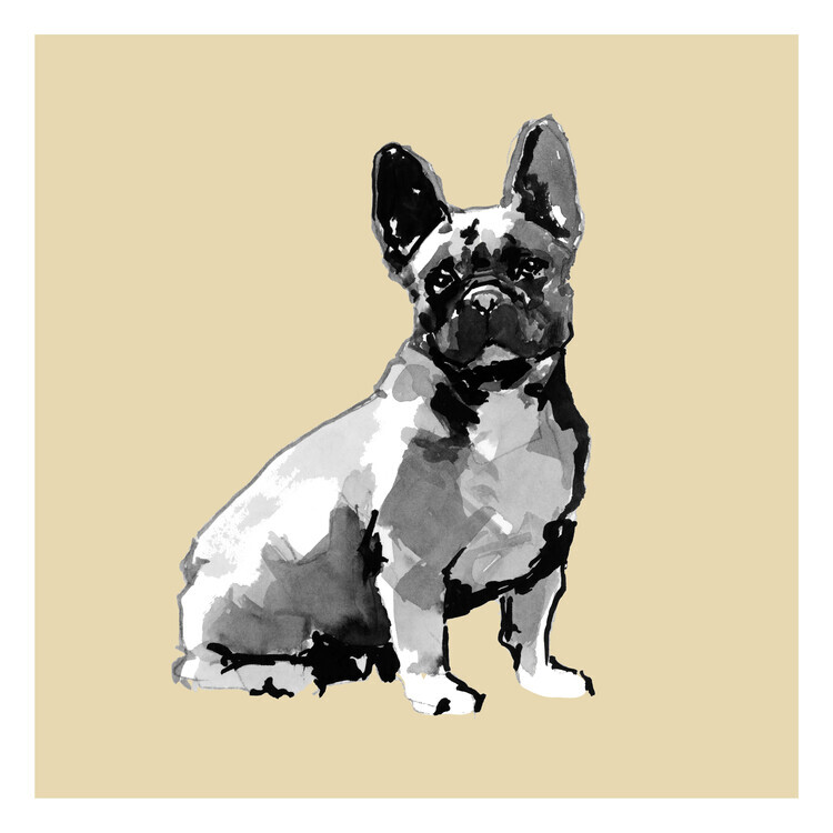 cartissi Plakát, Obraz - Watercolor French Bulldog, cartissi, 40 × 40 cm