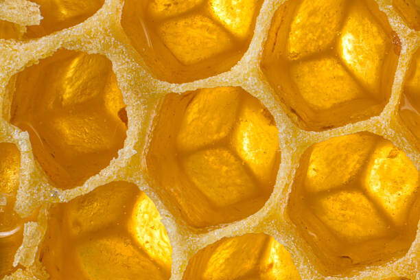 Jonathan Knowles Plakát, Obraz - Close up honeycomb, Jonathan Knowles, 40 × 26.7 cm