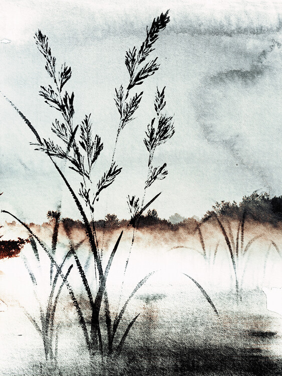 Treechild Plakát, Obraz - Misty Morning Reeds, Treechild, 30 × 40 cm