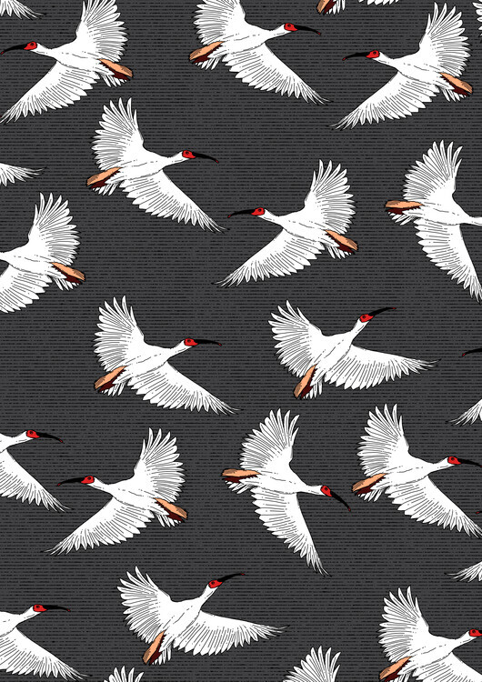 Nicholas Plakát, Obraz - Graceful White Birds Flying, Nicholas, 30 × 40 cm