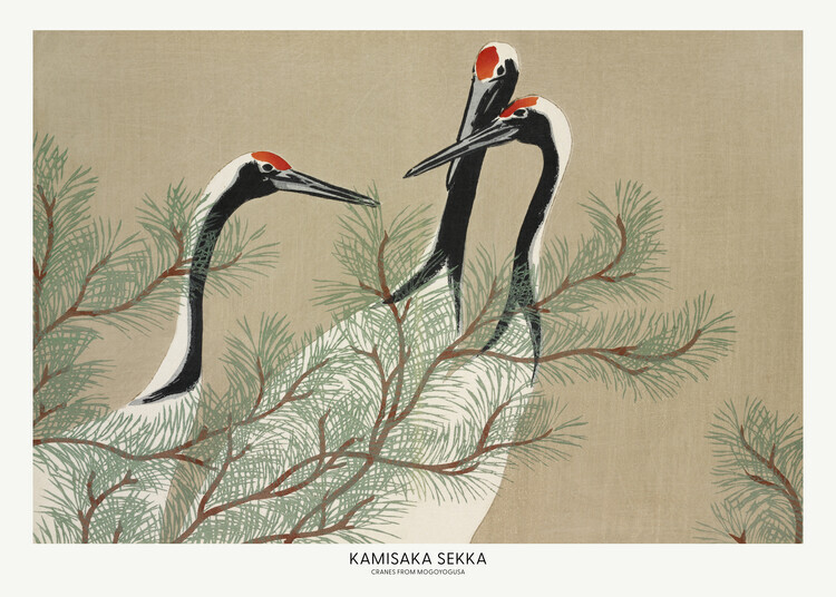 Kamisaka Sekka Plakát, Obraz - Cranes From Momoyogusa, Kamisaka Sekka, 40 × 30 cm