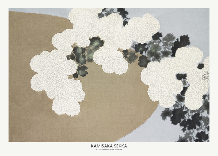 Kamisaka Sekka Plakát, Obraz - Blossom From Momoyogusa, Kamisaka Sekka, 40 × 30 cm