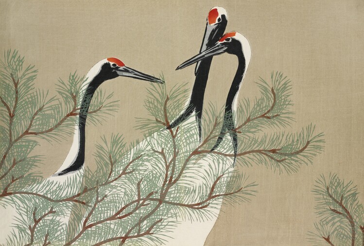 Kamisaka Sekka Plakát, Obraz - Cranes From Momoyogusa, Kamisaka Sekka, 40 × 26.7 cm