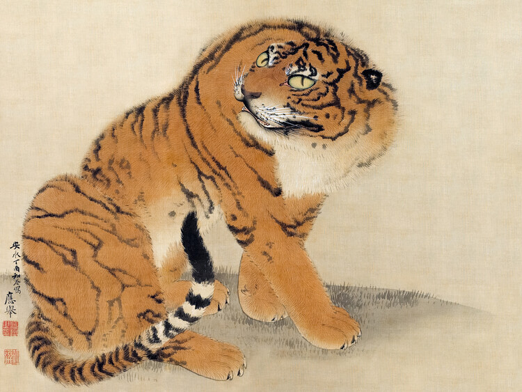 Maruyama Ōkyo Plakát, Obraz - Sitting Tiger (1777), Maruyama Ōkyo, 40 × 30 cm