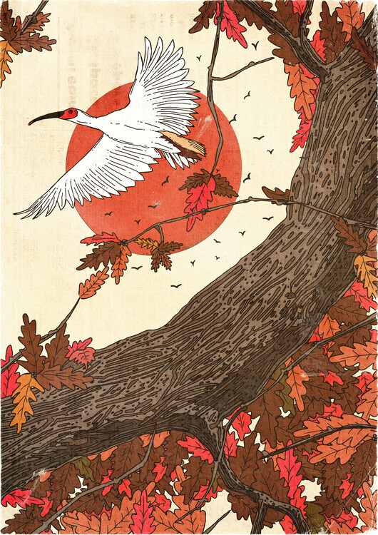 Nicholas Plakát, Obraz - Crimson Sun Autumn Flight, Nicholas, 30 × 40 cm