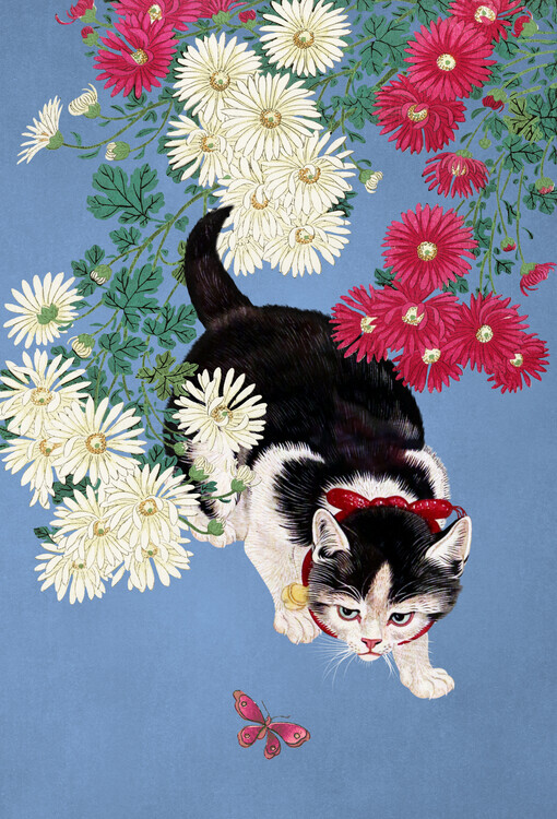 Marja van den Hurk Plakát, Obraz - Curious Kitten Butterfly, Marja van den Hurk, 26.7 × 40 cm