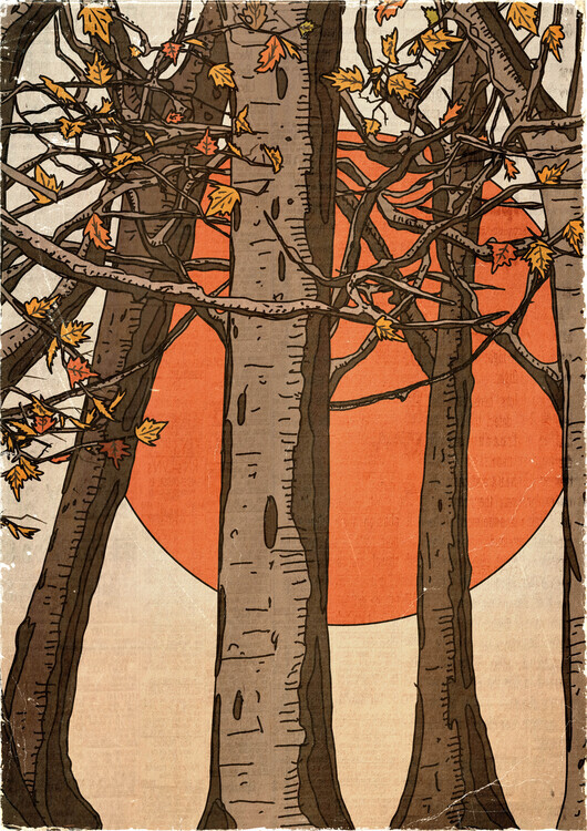 Nicholas Plakát, Obraz - Autumn Trees Sunset, Nicholas, 30 × 40 cm