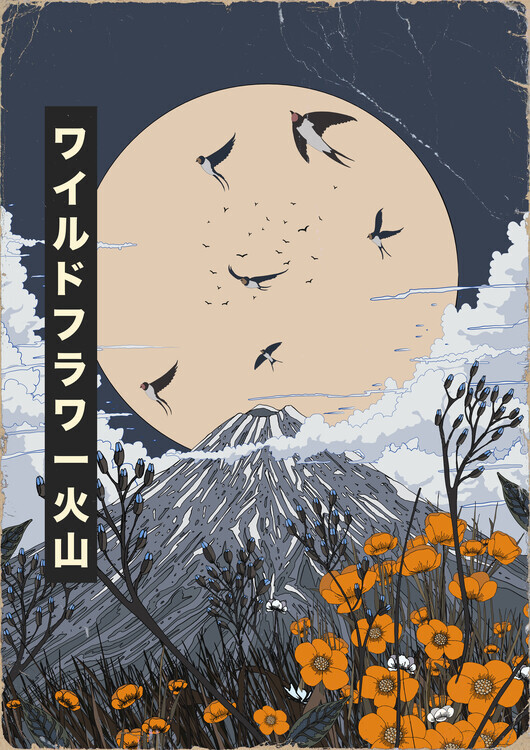 Nicholas Plakát, Obraz - Wildflower Fuji Moon, Nicholas, 30 × 40 cm