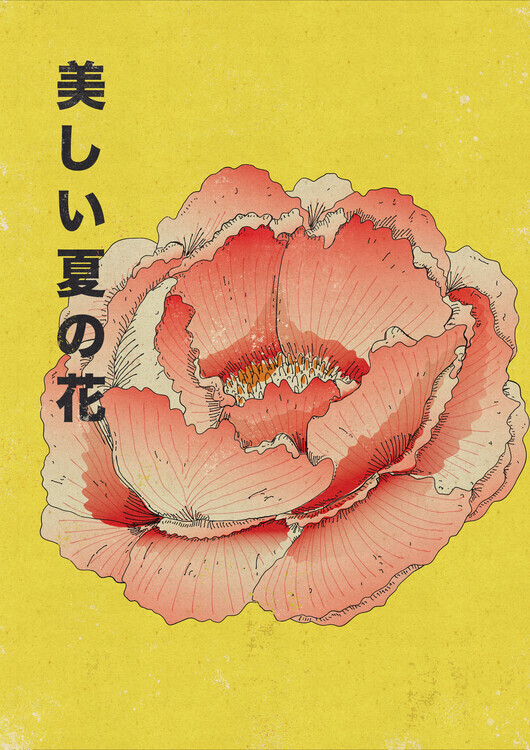 Nicholas Plakát, Obraz - Japanese Summer Peony, Nicholas, 30 × 40 cm