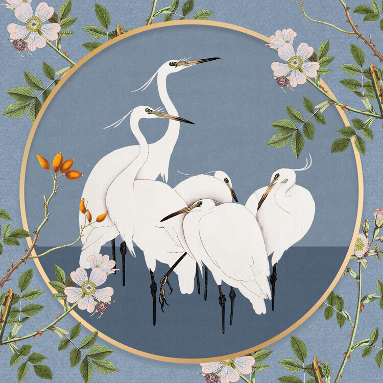 Marja van den Hurk Plakát, Obraz - White Egrets Floral Circle, Marja van den Hurk, 40 × 40 cm