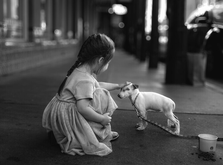 Leechee Z Plakát, Obraz - Girl and Her Puppy, Leechee Z, 40 × 30 cm