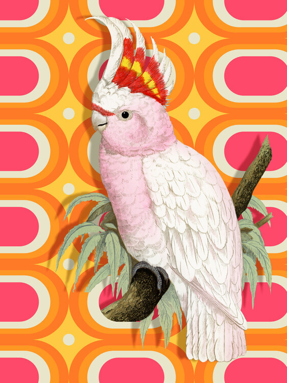 Marja van den Plakát, Obraz - Pink Cockatoo Retro Pop, Marja van den, 30 × 40 cm