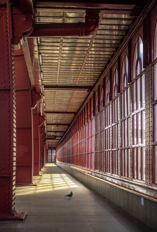 Frank Bruynseraede Plakát, Obraz - Sunlit Red Hallway, Frank Bruynseraede, 26.7 × 40 cm