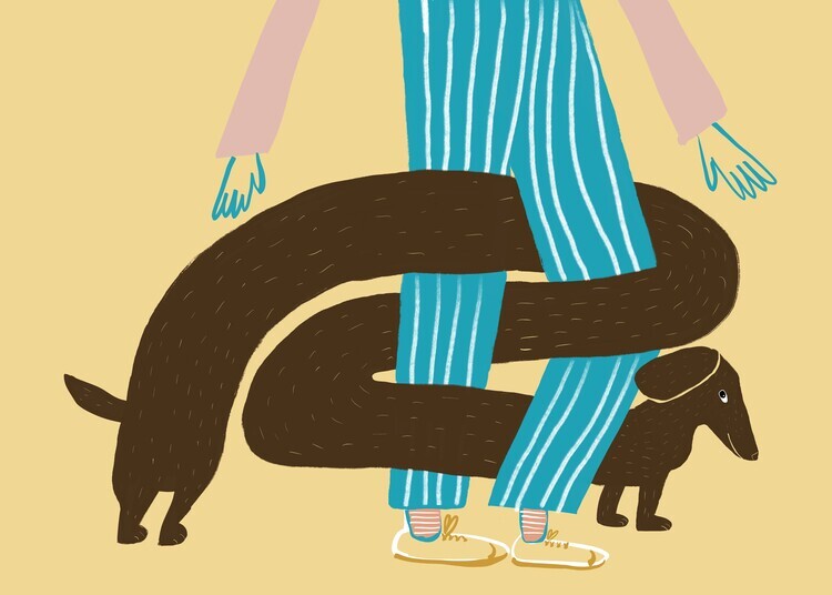 Sharyn Bursic Plakát, Obraz - Dachshund Hug Legs, Sharyn Bursic, 40 × 30 cm