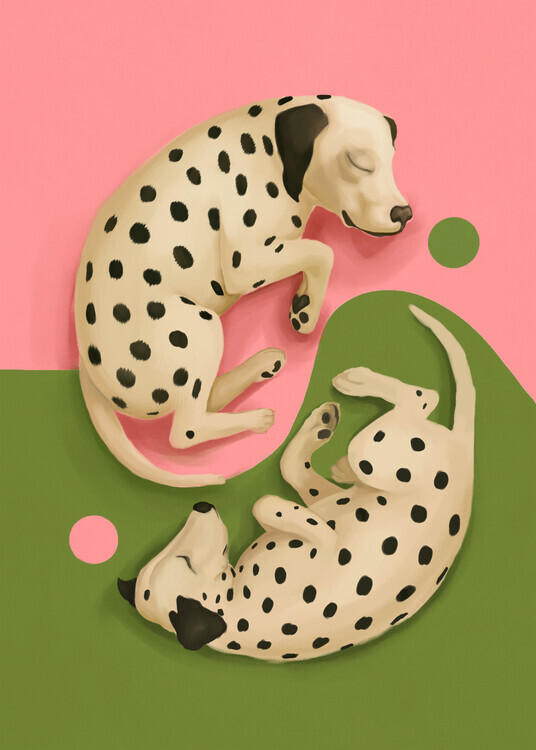 City Art Plakát, Obraz - Peaceful Dalmatians Yin Yang, City Art, 30 × 40 cm
