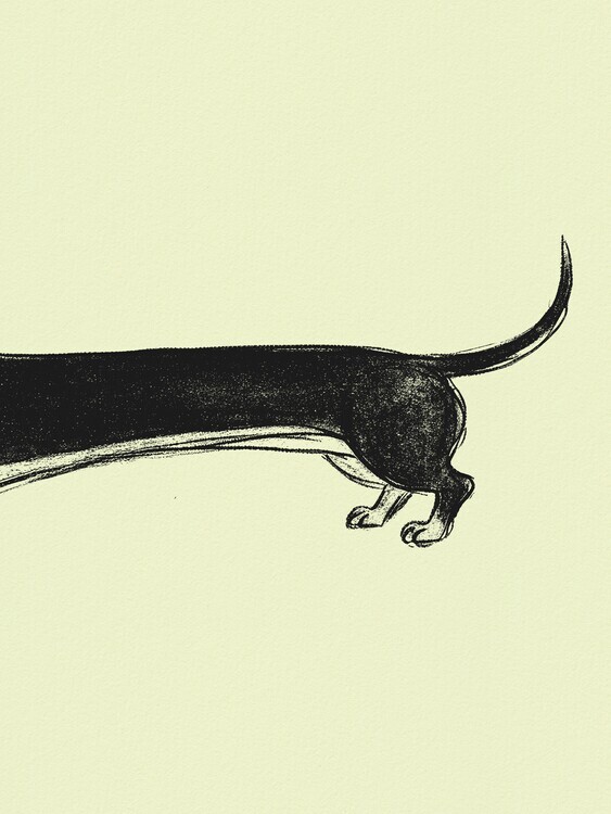 Andreas Magnusson Plakát, Obraz - Whimsical Sausage Dog, Andreas Magnusson, 30 × 40 cm