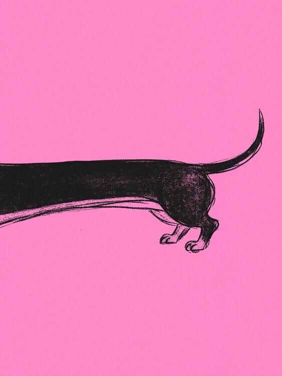 Andreas Magnusson Plakát, Obraz - Long Black Dachshund, Andreas Magnusson, 30 × 40 cm