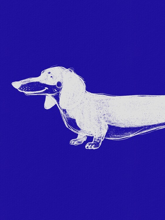 Andreas Magnusson Plakát, Obraz - Blue Dachshund Illustration, Andreas Magnusson, 30 × 40 cm