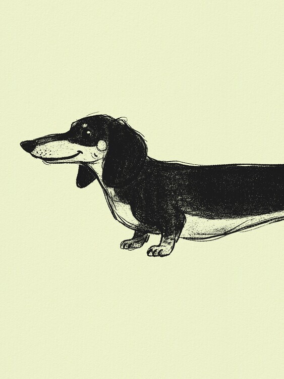 Andreas Magnusson Plakát, Obraz - Happy Long Dachshund, Andreas Magnusson, 30 × 40 cm