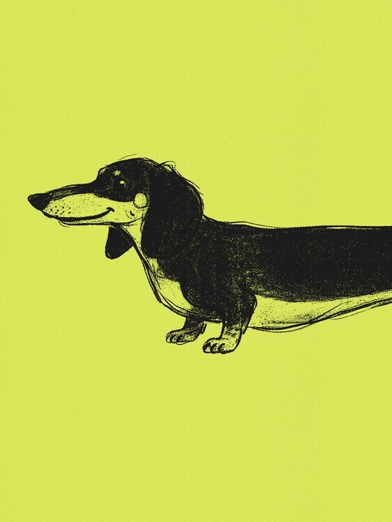 Andreas Magnusson Plakát, Obraz - Happy Black Dachshund, Andreas Magnusson, 30 × 40 cm