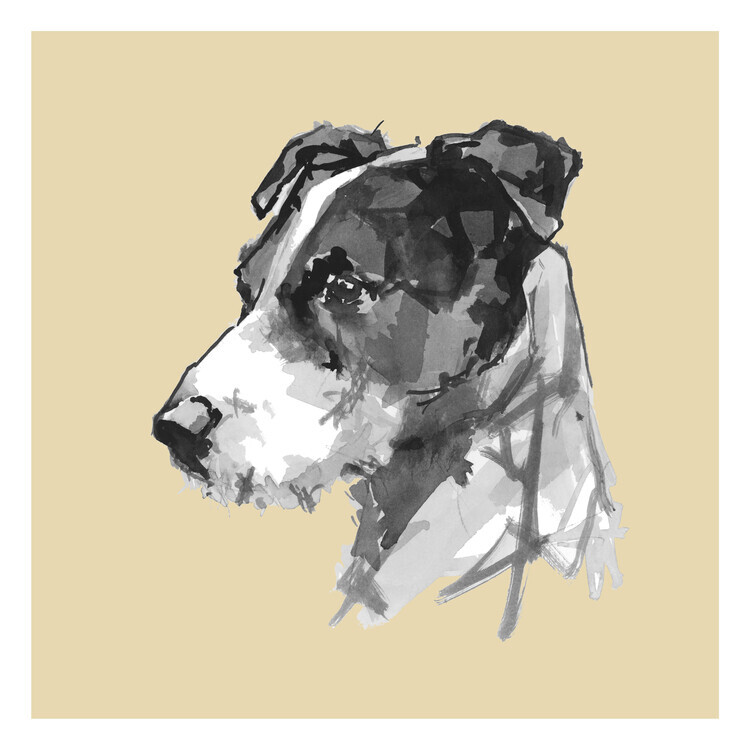 cartissi Plakát, Obraz - Modern Dog Portrait, cartissi, 40 × 40 cm