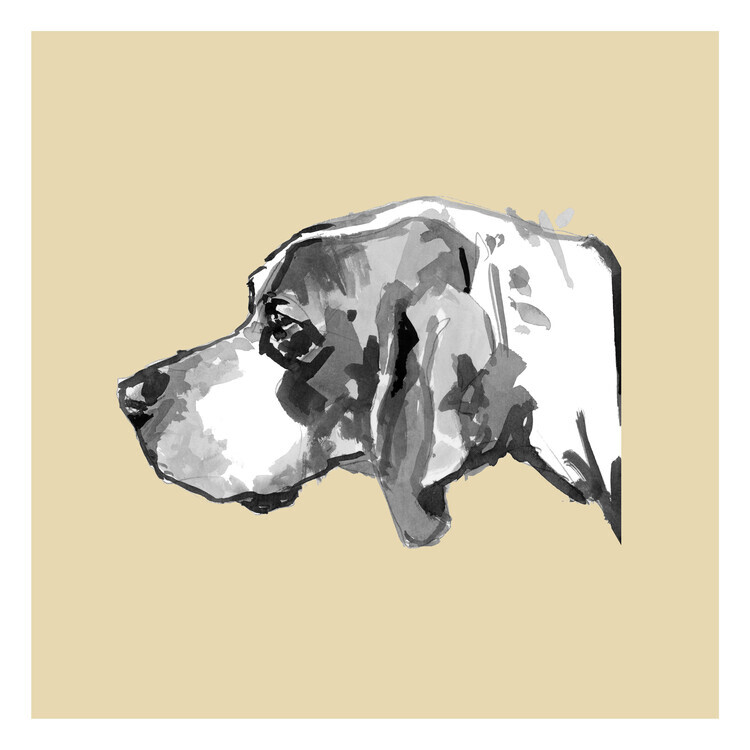 cartissi Plakát, Obraz - Elegant Dog Profile, cartissi, 40 × 40 cm