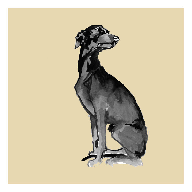 cartissi Plakát, Obraz - Elegant Black Dog, cartissi, 40 × 40 cm