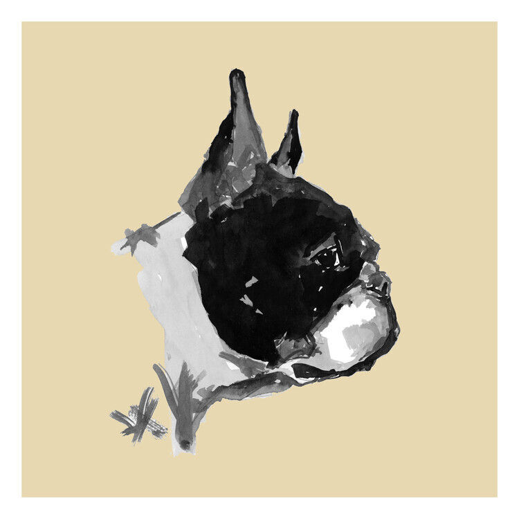 cartissi Plakát, Obraz - Expressive Boston Terrier Portrait, cartissi, 40 × 40 cm
