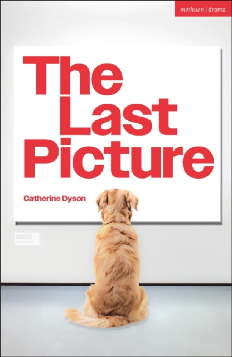 The Last Picture - Catherine Dyson