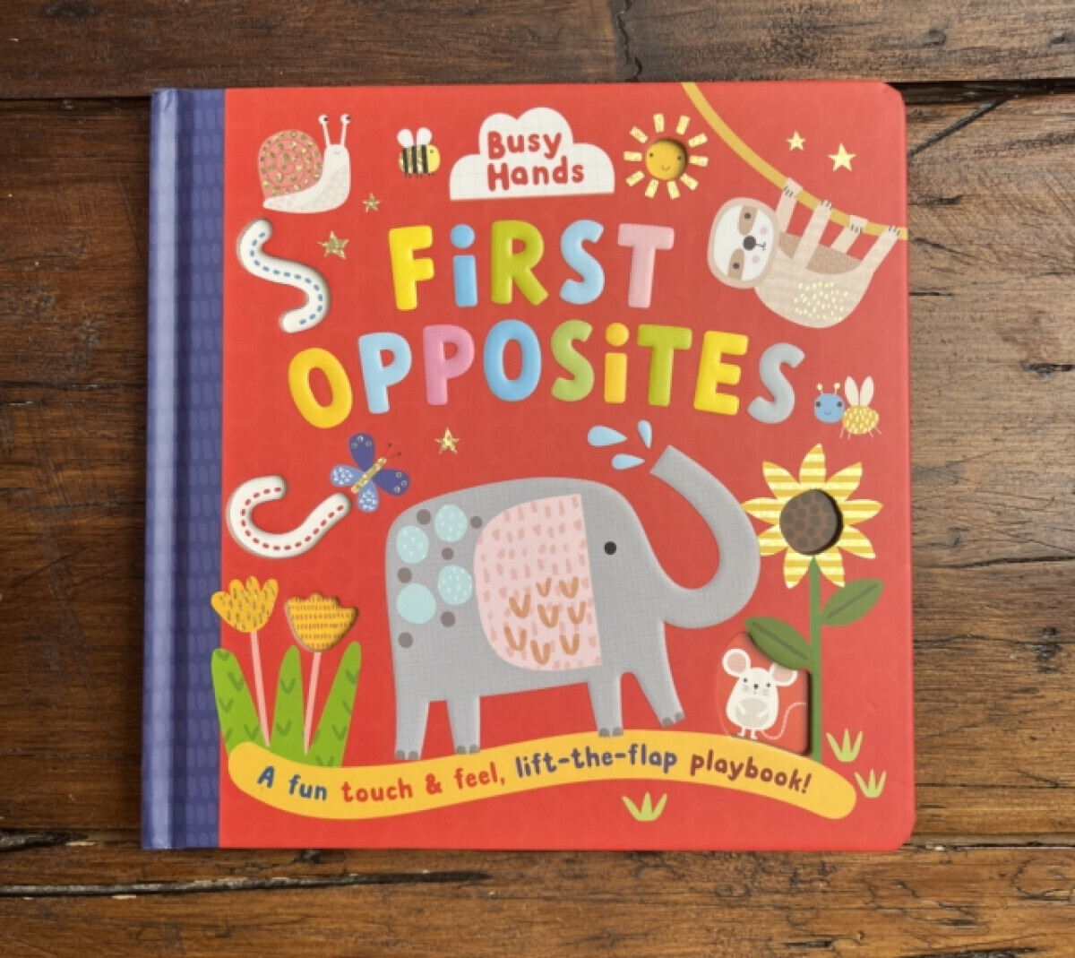 First Opposites - Sally Townhouse Publishing