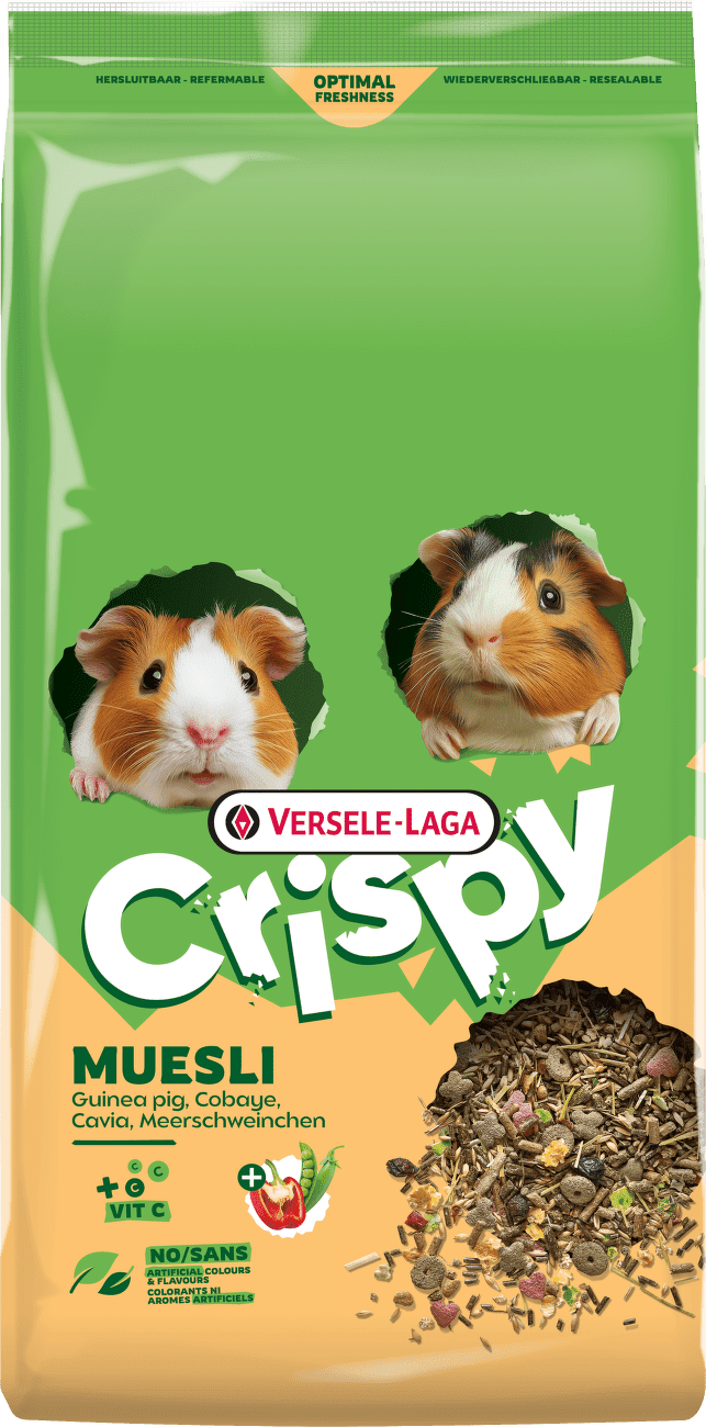Krmivo Versele-Laga Crispy Muesli Guinea Pigs pro morčata 9 kg