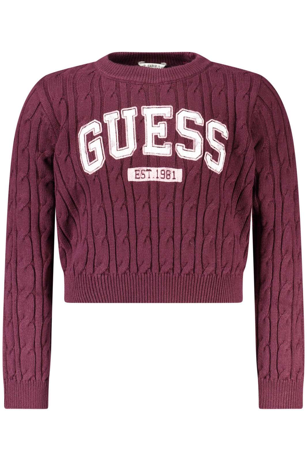 Dětský fialový svetr GUESS JEANS