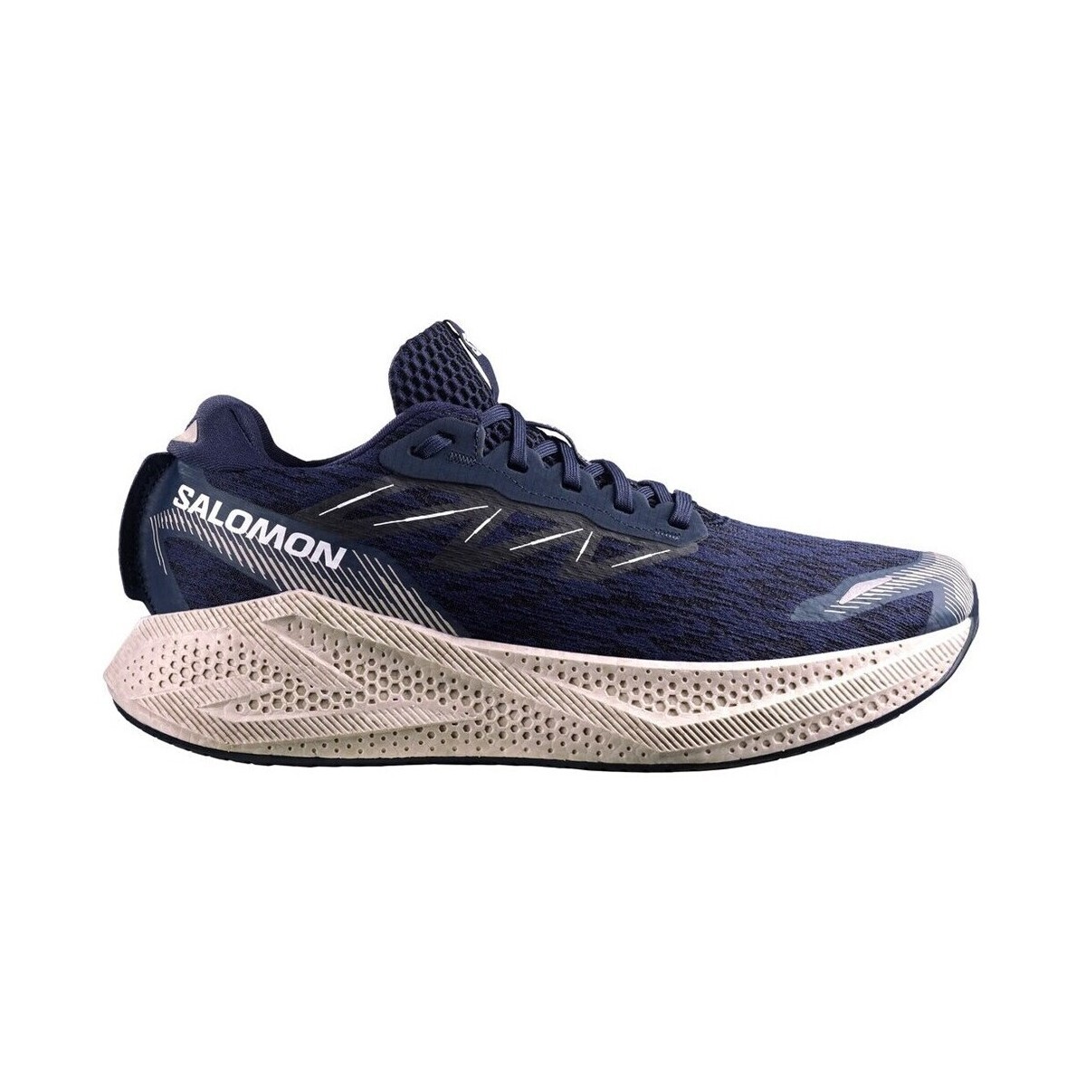 Salomon  Aero Glide 4  Béžová