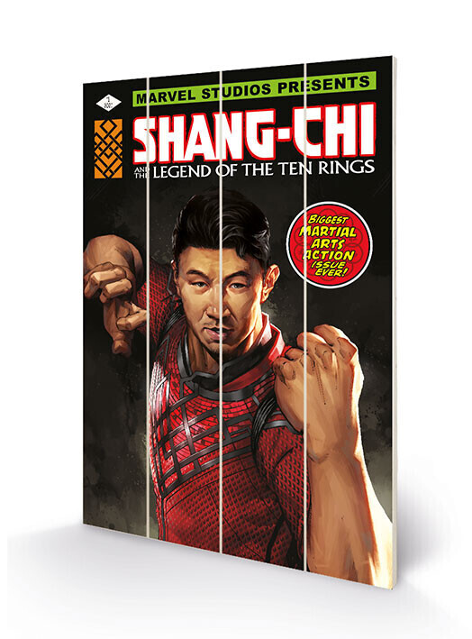 PYRAMID Dřevěný obraz Shang Chi and the Legends of the Ten Rings - Battle Ready, 40 × 59 cm