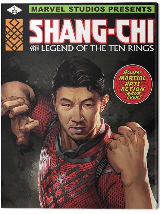 PYRAMID Obraz na plátně Shang Chi and the Legend of the Ten Rings, 2 - 60×80 cm