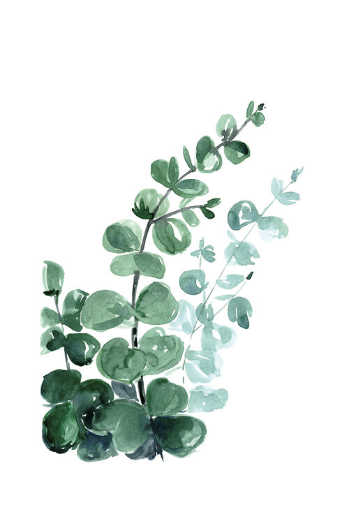 Europosters Plakát, Obraz - Blursbyai - Watercolour eucalyptus, 40 × 60 cm