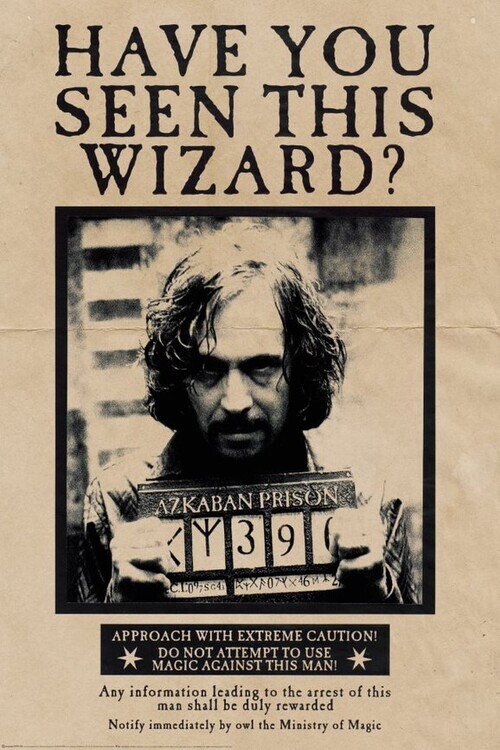 Europosters Plakát, Obraz - Harry Potter - Wanted Sirius Black, 80 × 120 cm