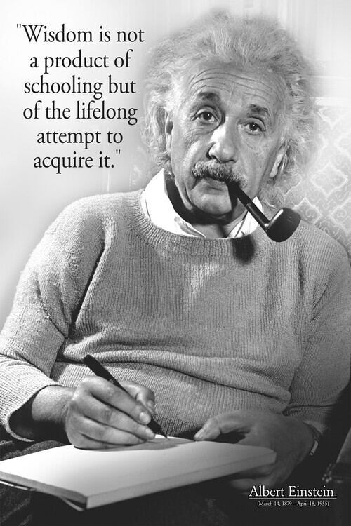 EUROGRAPHICS Plakát, Obraz - Albert Einstein - citáty a moudra, 61 × 91.5 cm