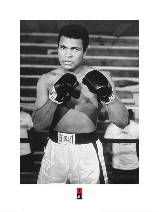 PYRAMID Umělecký tisk Muhammad Ali - Pose, 60 × 80 cm